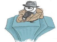 大通区取证公司解说第三者承担离婚赔偿责任吗